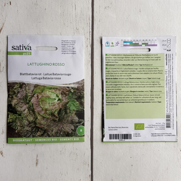 Blattbatavia LATTUGHINO ROSSO - 1 Tüte Bio-Saatgut von Sativa – Bild 2