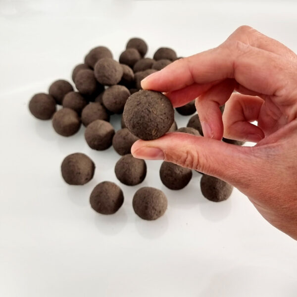 Seedballs Blumen-Mischungen, handgerollte Seedbombs