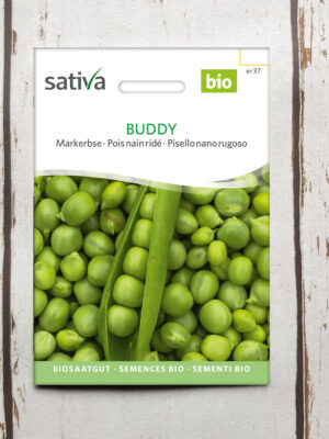 Markerbse BUDDY Bio-Saatgut von Sativa