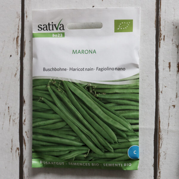 Buschbohne MARONA Bio-Saatgut von Sativa