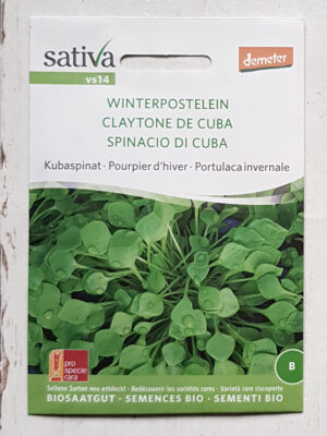 Winterportulak (Winterpostelein, Kubaspinat) Bio-Saatgut von Sativa