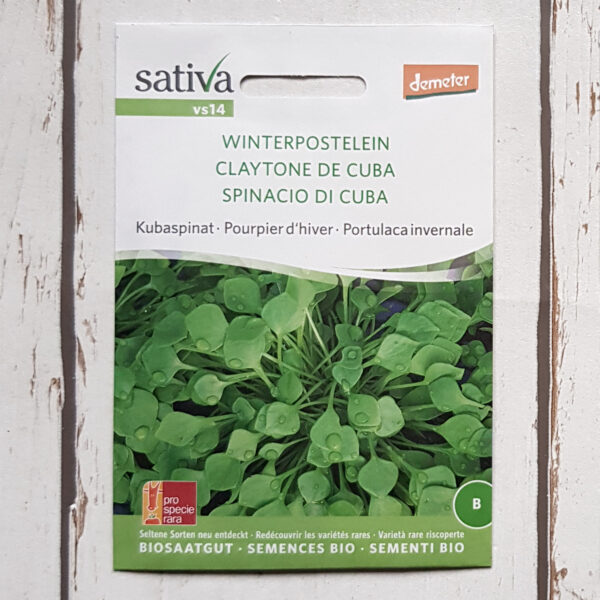 Winterportulak (Winterpostelein, Kubaspinat) Bio-Saatgut von Sativa