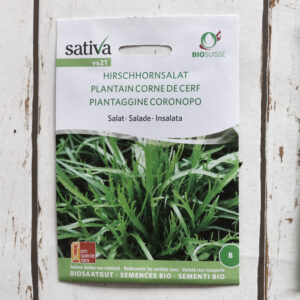 Hirschhornsalat Bio-Saatgut von Sativa
