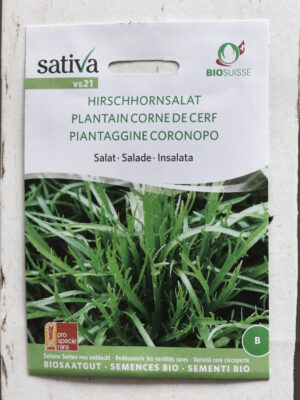 Hirschhornsalat Bio-Saatgut von Sativa