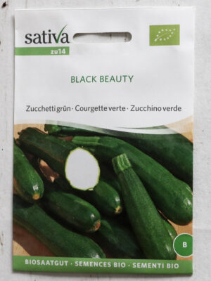 Zucchini BLACK BEAUTY