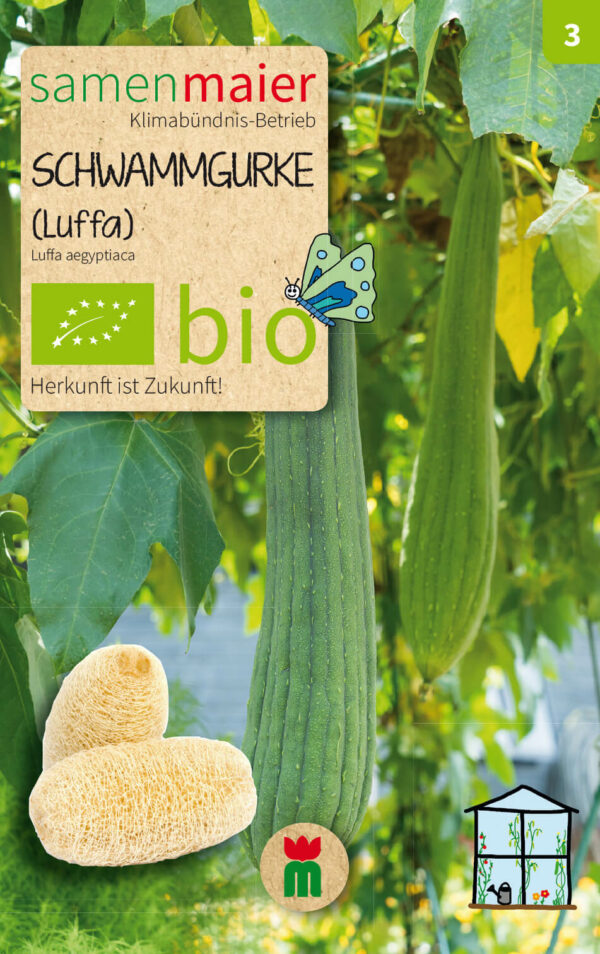 BIO Beet-Box "Raritätenbox für Besondere" von Samen Maier