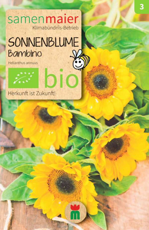 BIO Beet-Box "Für Kids" von Samen Maier