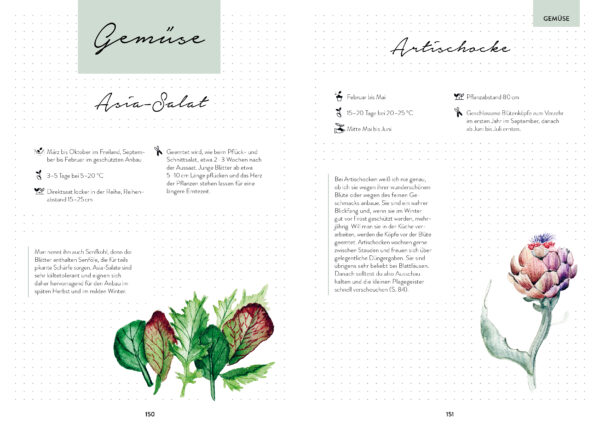 Hochbeetglück – Das illustrierte Gartenbuch